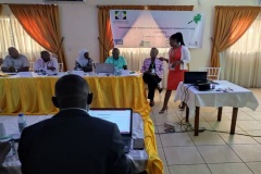 Presentation-par-un-facilitateur-camerounais-lors-de-latelier-1